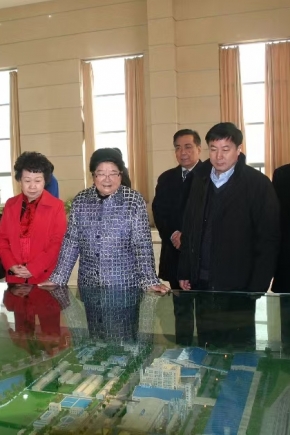 2011年12月14日，第十屆全國人大常委會副委員長顧秀蓮、中國石油和化學工業聯合會長李勇武等參加銅化集團成立20周年慶典，蒞臨公司視察。